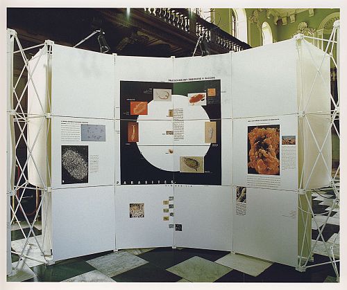 Cambridge Exhibition: Creating Medicine 1987